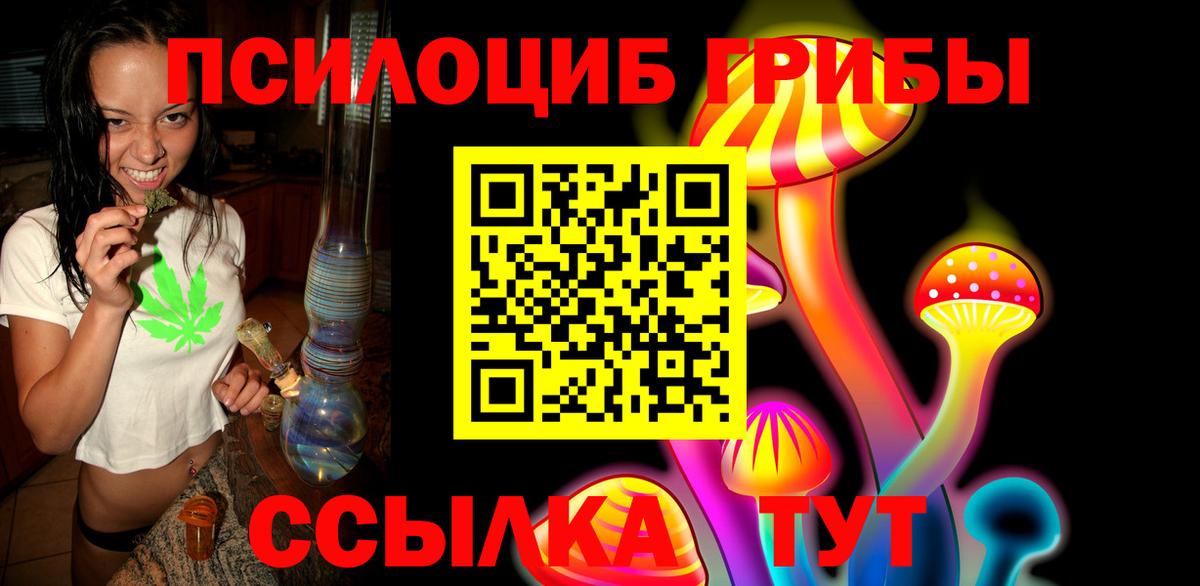 Псилоцибиновые грибы Cubensis Урус-Мартан