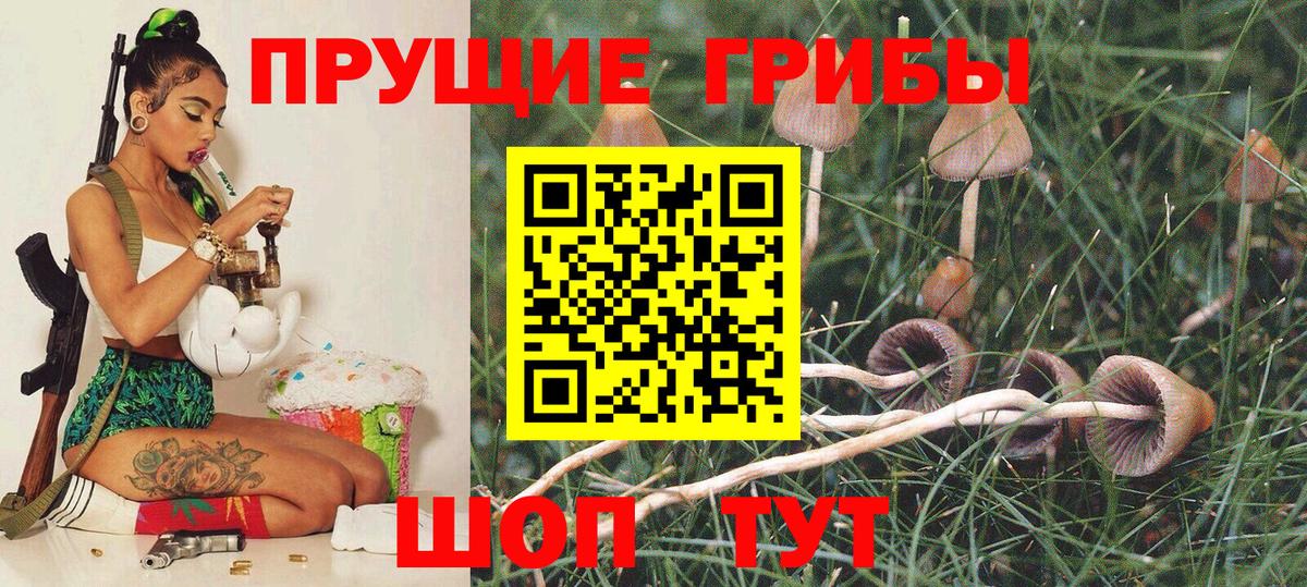 Урус-Мартан  Псилоцибиновые грибы MAGIC MUSHROOMS  Вход с VPN 